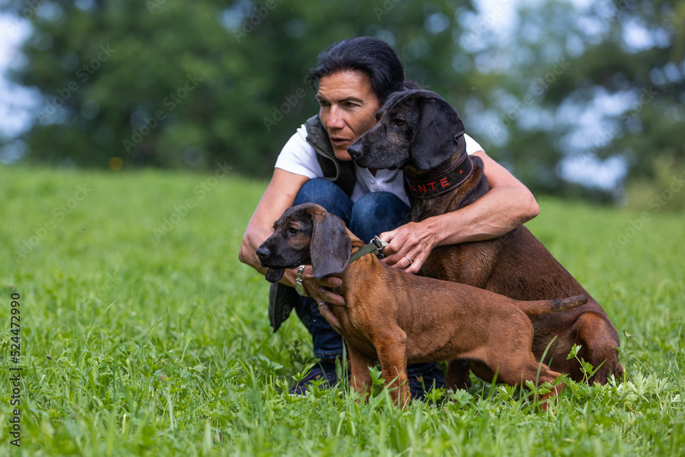 trainer holds her dogs back until command