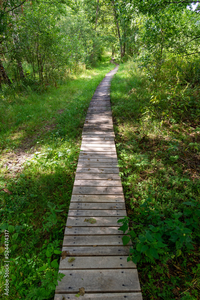 A wooden walking path over wetlands in the Poleski National Park. A wooden walking path over wetlands in the Poleski National Park.