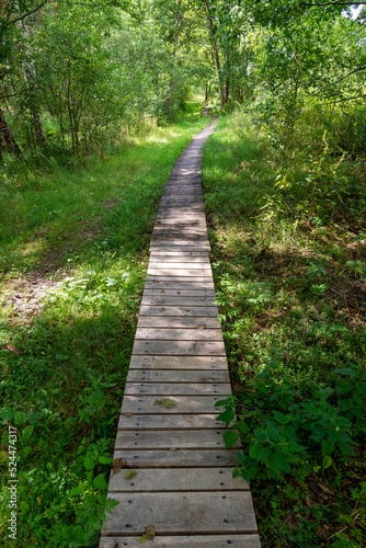 A wooden walking path over wetlands in the Poleski National Park. © Wojciech Bobrowicz