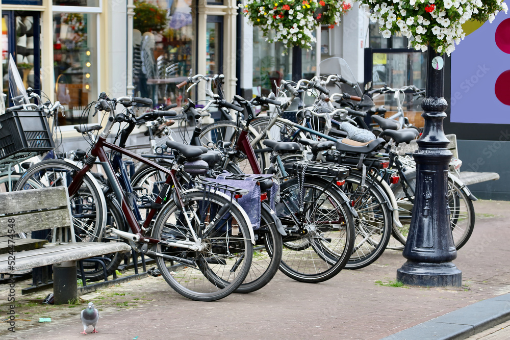 bicycles on the street