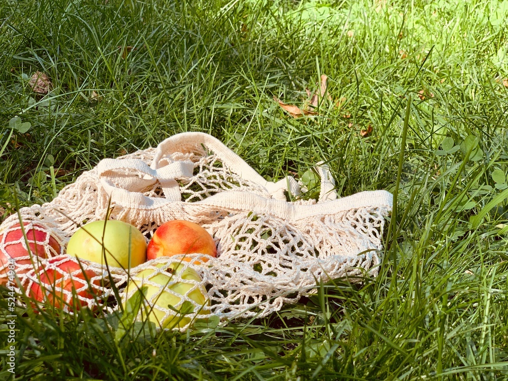 Obraz premium Fruits in String bag on the grass
