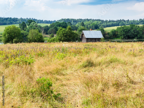 view of overgrown meadow and old log house near river on sunny summer day