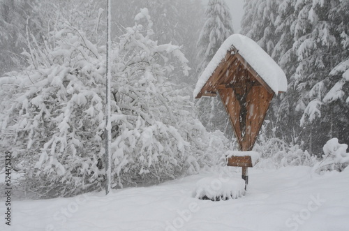 Neve