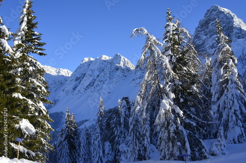 Sole e gelo