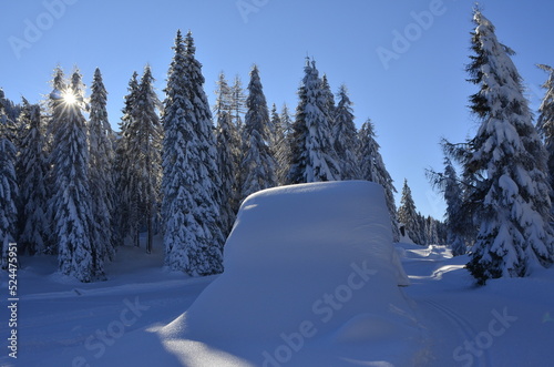Nevicata