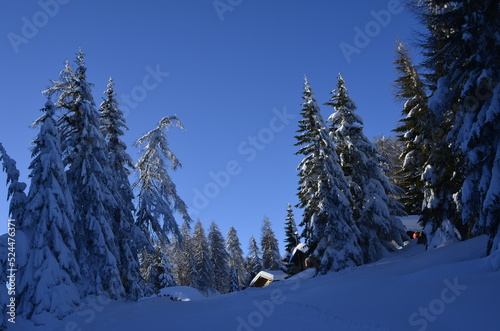 Neve vasta