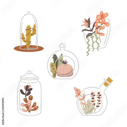 Boho Glass Terrariums with Plants Vector Isolated Elements Set
