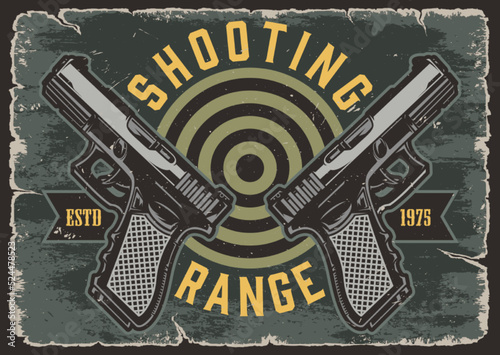 Shooting range vintage colorful logotype