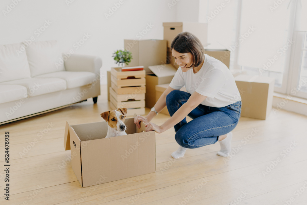 New home, moving day and relocation concept. Positive brunette woman plays with pedigree dog in carton container, unpack boxes with belongings, pose in spacious living room with comfortable sofa New home, moving day and relocation concept. Positive brunette woman plays with pedigree dog in carton container, unpack boxes with belongings, pose in spacious living room with comfortable sofa