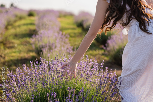 partial view of woman in white dress touching lavender blooming in field.