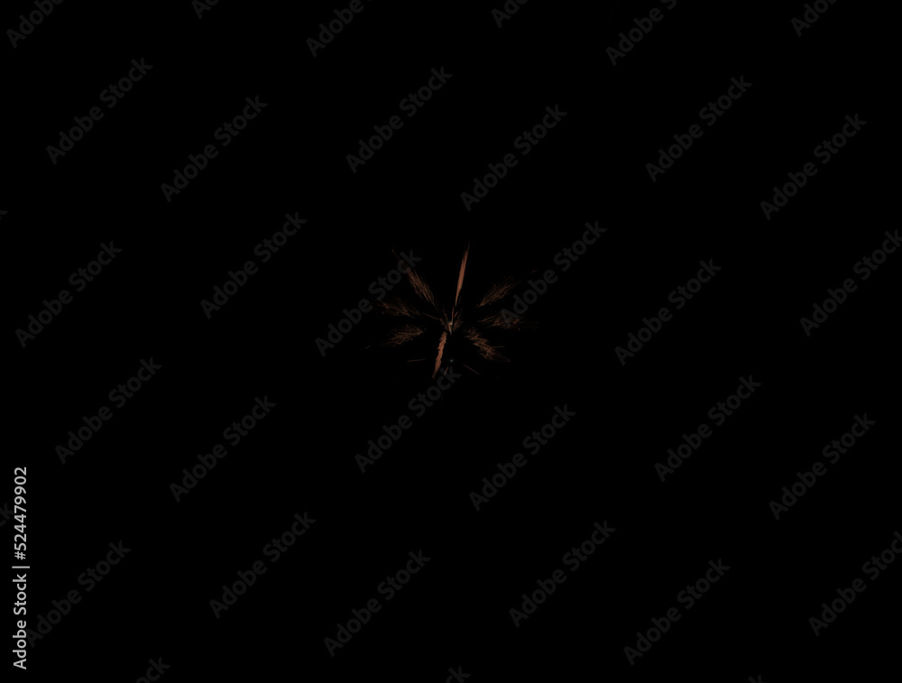 Imaginatory fractal abstract background Image Imaginatory fractal abstract background Image