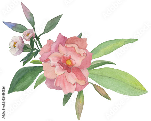 Pink flowers bouquet on a transparent background. Watercolor illustration. Wedding element