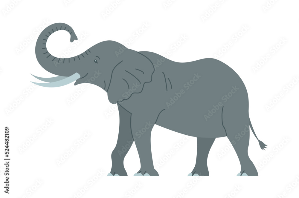 African elephant with tusks. Savannah wild animal. Large herbivorous mammal. Flat vector illustration isolated on white background African elephant with tusks. Savannah wild animal. Large herbivorous mammal. Flat vector illustration isolated on white background