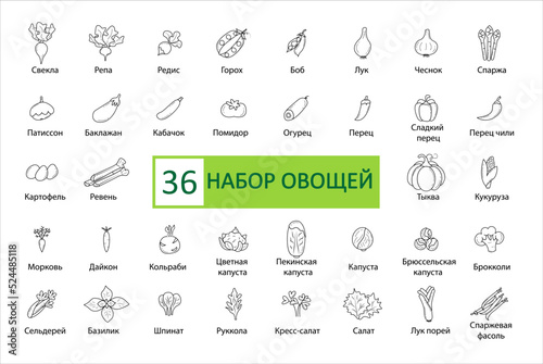 Vegetables icon set. Simple concise images of vegetables with names in Russian. Collection of icons in outlines. Vegetarianism. Tomato, turnip, cabbage, onions, carrots, corn and others. Vector, eps 