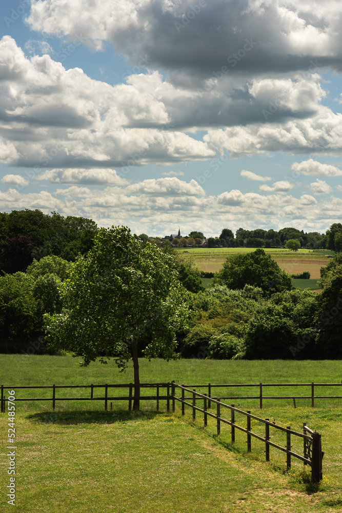 Rolling countryside with trees and farmland under a blue cloudy sky in summer. Rolling countryside with trees and farmland under a blue cloudy sky in summer.