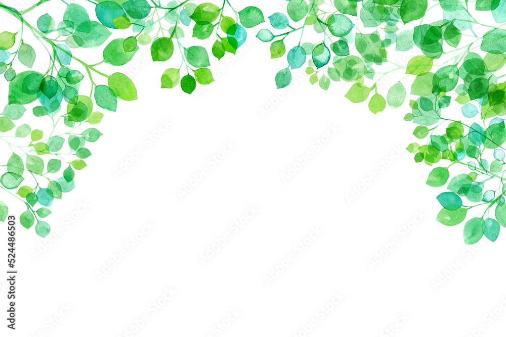 木漏れ日のイメージ。水彩イラスト。新緑のアーチ型フレーム背景（透過背景） 素材庫插圖| Adobe Stock