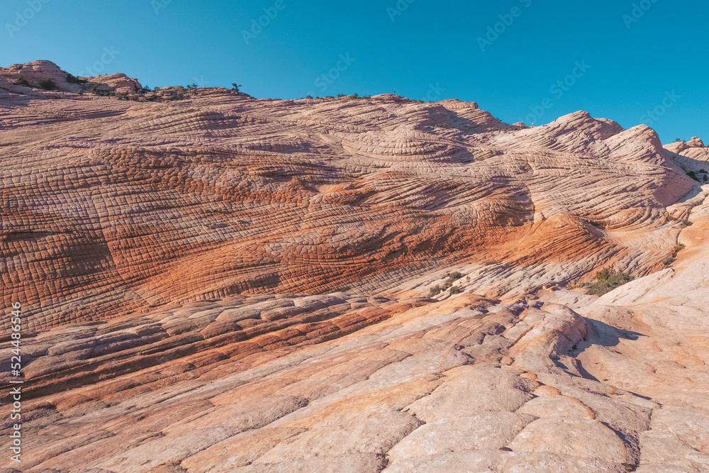 Fototapeta premium Yankee Doodle Yant Flats