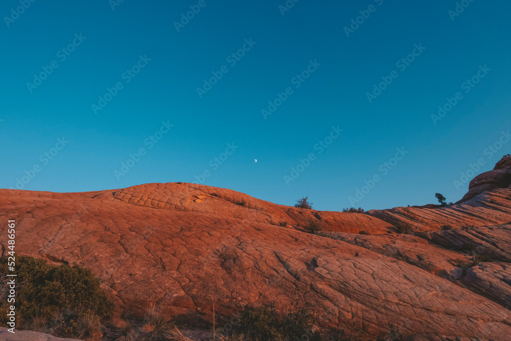 Fototapeta premium Yankee Doodle Yant Flats