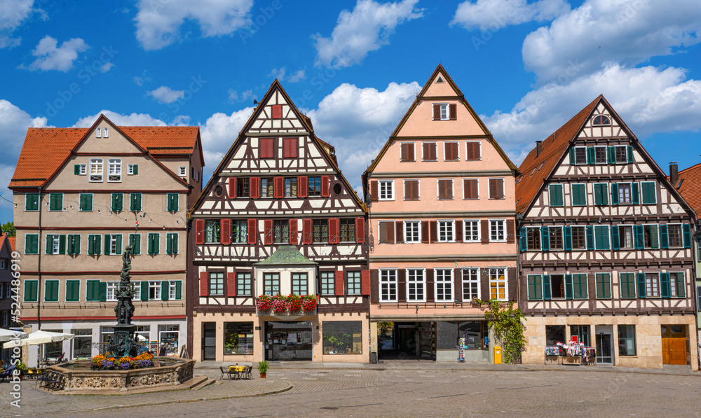 Historical houses on marketplace in Tübingen old town. Baden Wuerttemberg, Germany, Europe.