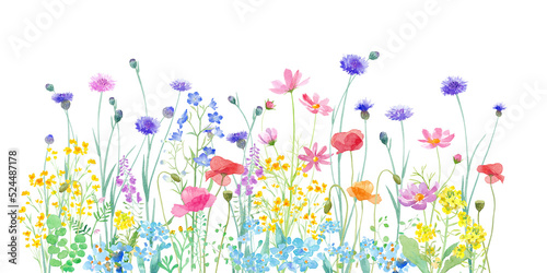 色々の花が咲き乱れる、春の野原の水彩イラスト。（透過背景）