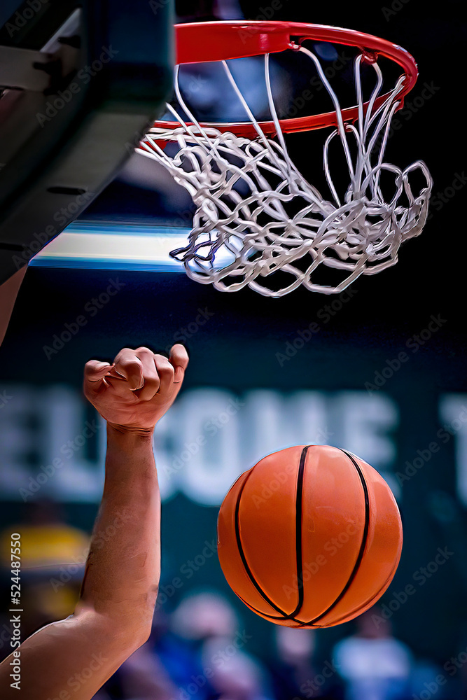 Basketball and Net