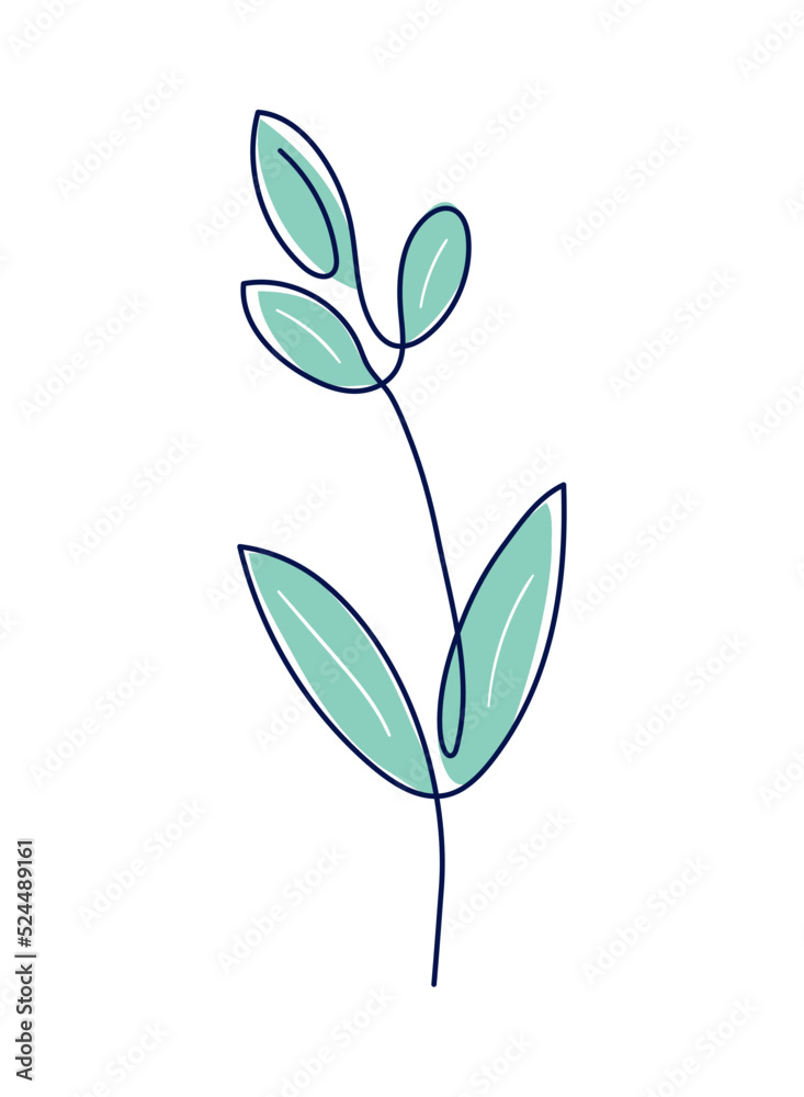 one line leaves plant