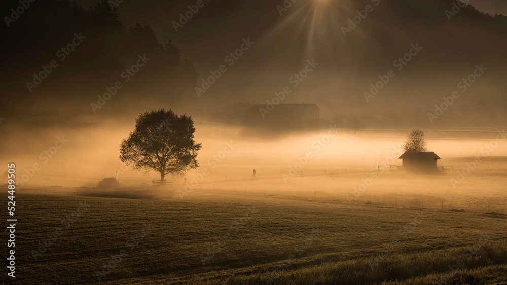 Lonely jogger in the mist at sunrise 