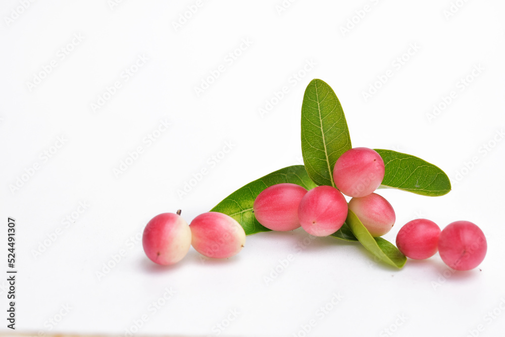 Thai herbs , Karonda fruit on white background Thai herbs , Karonda fruit on white background