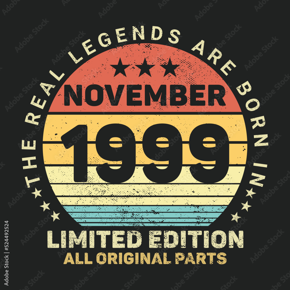 The Real Legends Are Born In November 1999, Birthday gifts for women or men, Vintage birthday shirts for wives or husbands, anniversary T-shirts for sisters or brother