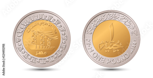 Reverse and obverse of Egyptian one pound coin in vector illustration.
