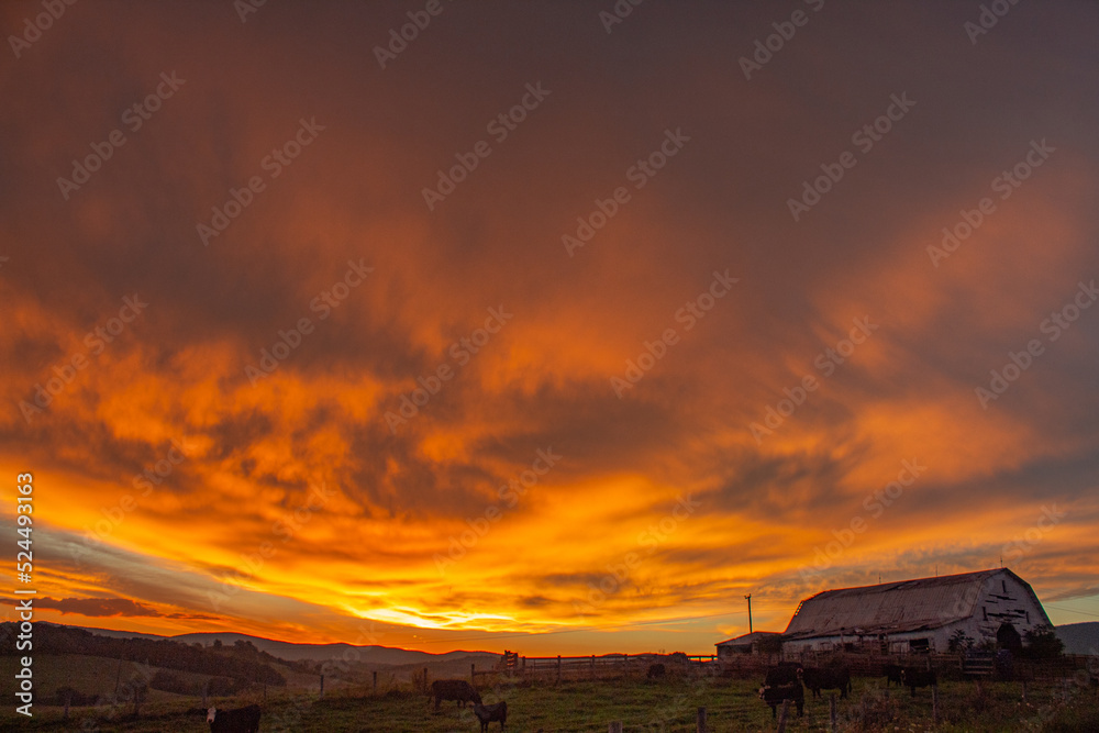 sunset on the farm
