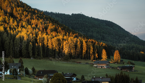Sunrise on Castelrotto (Bz) in June 2022, you can see the morning light reflecting on the treetops of the forest close to the typical alpine huts.