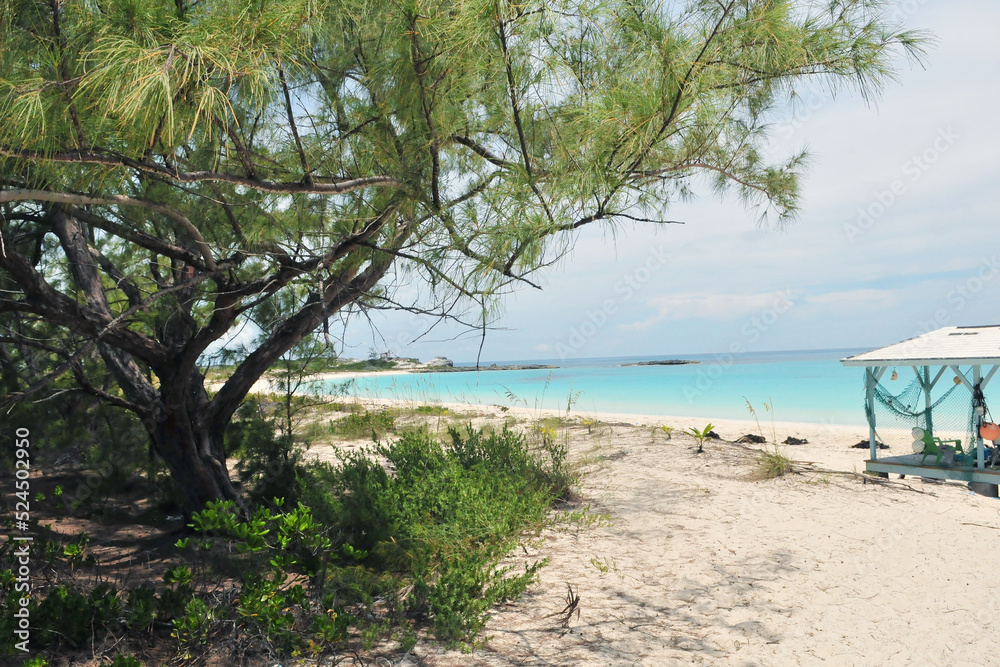 beach with hut