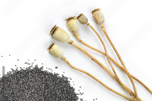 poppy pods and seeds isolated on white background