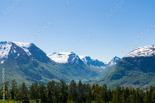 Nordic scenery of forests with tall trees and snow-capped mountains © Jenni Ventura Martil