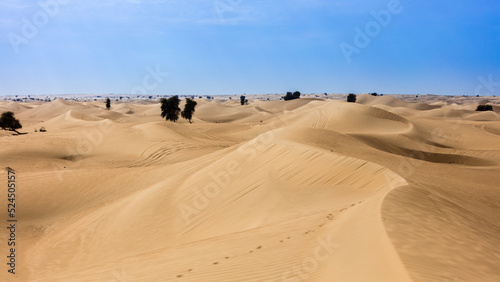 Dubai , Emirats Arabes Unis - Panoramas al marmoom desert reserve photo