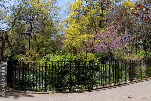 Tompkins Square Park during the Spring in the East Village of New York City with Green and Flowering Trees