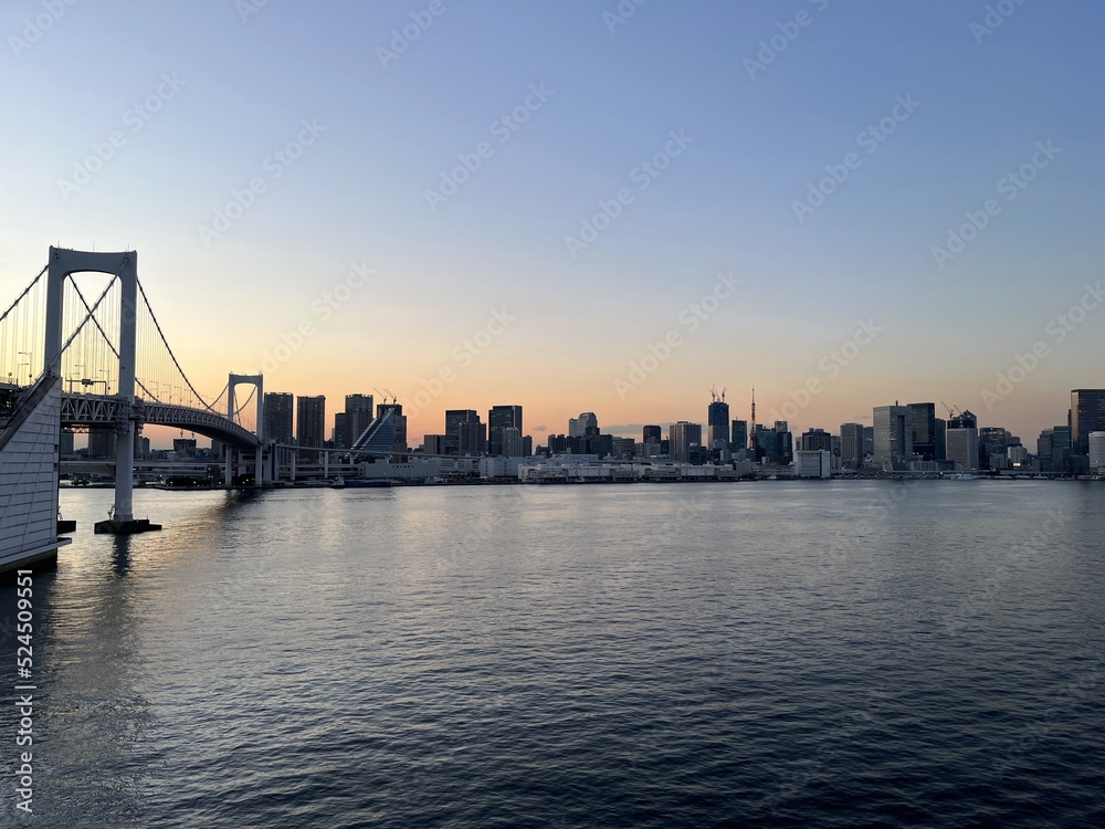 Obraz premium city harbour bridge