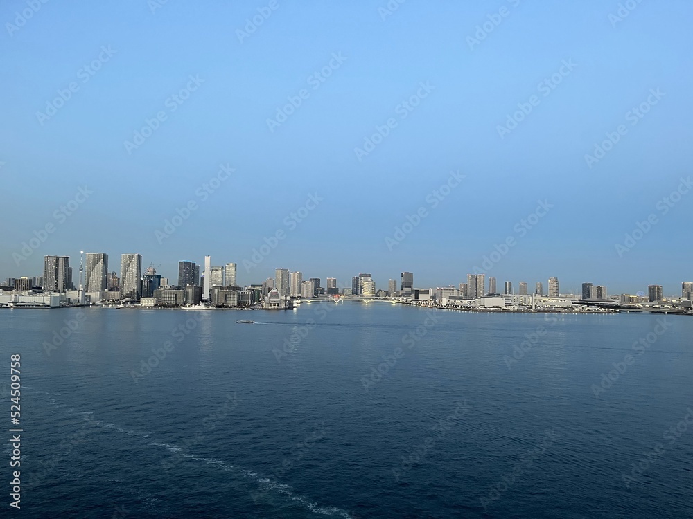 Obraz premium city skyline