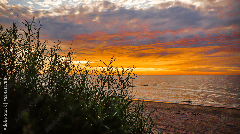 Obraz premium Krajobrazy