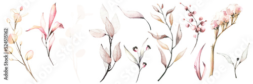 Watercolor greenery set of light pink, orange. blush leaves, twigs and branches. Spring romantic illustration.