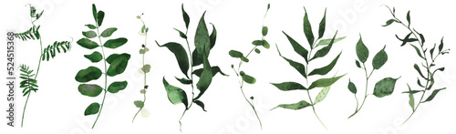 Watercolor floral set of green leaves, branches, twigs etc. Vector traced isolated greenery illustration. 