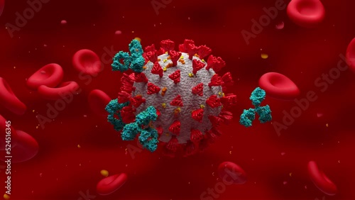 Activated antibody attack Covid-19 coronavirus 3d rendered animation photo