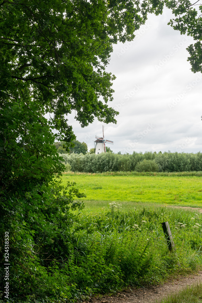 Windmill Molen De Vlinder (butterfly) along the river Linge as seen from Landgoed Heerlijkheid Mariënwaerdt in The Netherlands Windmill Molen De Vlinder (butterfly) along the river Linge as seen from Landgoed Heerlijkheid Mariënwaerdt in The Netherlands