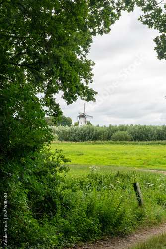 Windmill Molen De Vlinder (butterfly) along the river Linge as seen from Landgoed Heerlijkheid Mariënwaerdt in The Netherlands photo