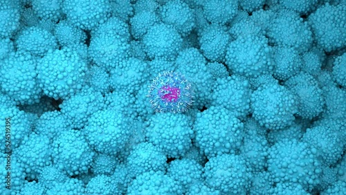 T-cells attack pancreatic cancer cells photo