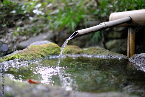 つくばい stone wash basin found in Japanese gardens