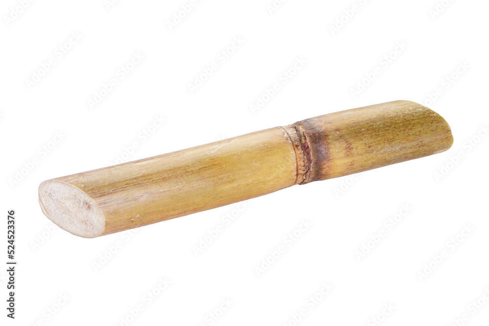 Sugarcane isolated on white background Sugarcane isolated on white background
