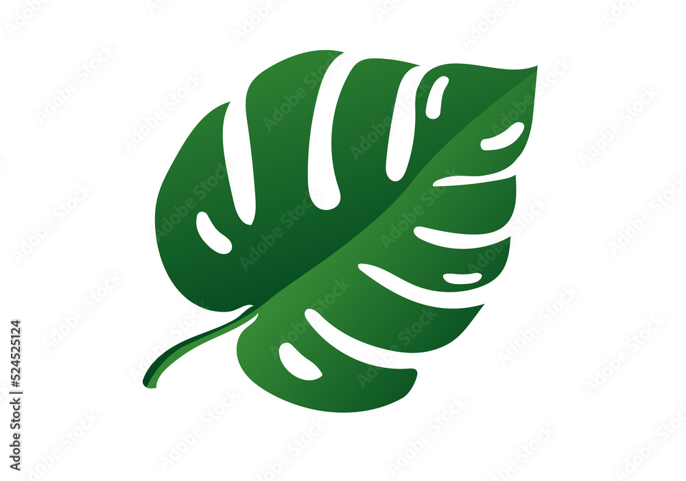 tropical leaf.