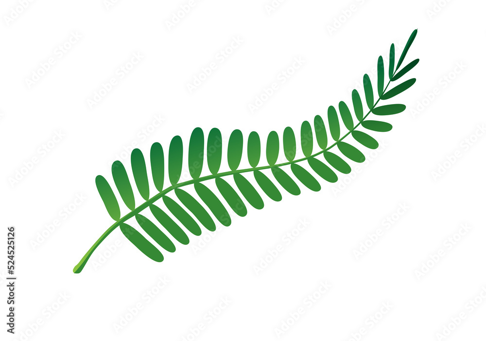 tropical leaf. tropical leaf.